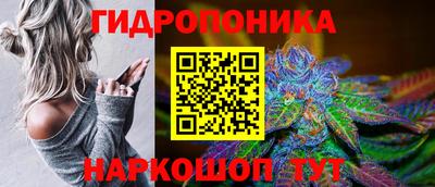 бошки Кимры