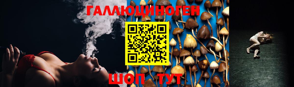 Псилоцибиновые грибы MAGIC MUSHROOMS  Вход с VPN  где найти   Коркино  Псилоцибиновые грибы Cubensis 